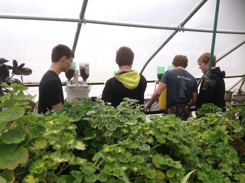 Plainview Schools GREENHOUSE OPEN HOUSE